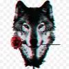Eddy Santamaria - @eddy.santamaria1 - TikTok
