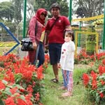 eddy surya - @eddysurya123 - Instagram