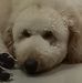 Eddy Tam - Facebook