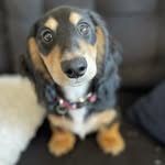 Teddy “Theodore” Logan - @mostexcellent_teddy - Instagram