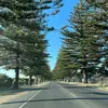 Eddy Tran - @eddy.tran3 - TikTok