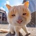 Eddy Trần - Facebook