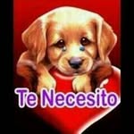 eddy trujillo - @eddytrujillo0716 - Instagram