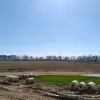 Eddy Trujillo - @eddy.trujillo6 - TikTok
