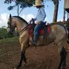 EddyTrujillo08 - @eddytrujillo08 - TikTok
