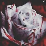 @eddyvance57 - Instagram