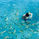 Eddy Vera - @eddy.vera - Instagram