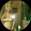Eddy Vera - @sugar_eddy1 - TikTok