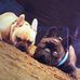 Eddy von den Momo's - Facebook