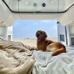 Eddy von der Silberwiege - @eddyvondersilberwiege - Instagram