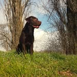 Eddy von Kastanienburg - @eddy_von_kastanienburg - Instagram
