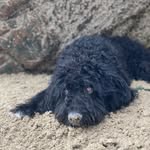 @eddy_von_und_zu_zausi - Instagram