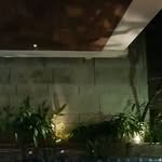 Eddy Widjaja - @eddy.widjaja.142 - Instagram