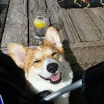 Eddie Dean Winchester - @corgidean - Instagram