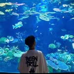 eddiii - @eddyyang__ - Instagram