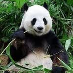 Eddy Yeh - Facebook