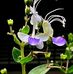 Eddy Yuen - Facebook