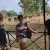 Edeltraud Schmidt - @edeltraudschmidt1 - TikTok