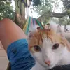 Edel Diaz - @edeldiaz8 - TikTok