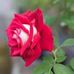 Edel Diaz - Facebook