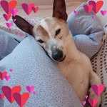 Edel Walsh - @edeles1 - Instagram