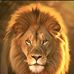 Edelberto Lopez - Facebook