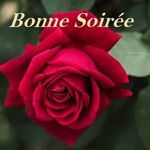Marie edeline Noël - @noelmarieedeline - Instagram