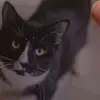 Eden Armstrong - @eden.armstrong3 - TikTok