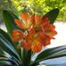 Eden Beck - Facebook
