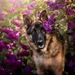 Eden - @eden.berger.allemand - Instagram