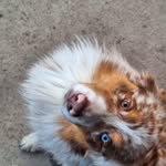 ÉDEN - @edenbergeraustralien - Instagram