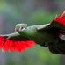 Eden Bird - Facebook