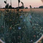 eden bird - @edenbird.ao - Instagram