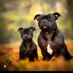 EDEN BLACKBERRY - @eden_blackberry - Instagram