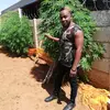 Eden (for black people) - @eden.for.black.pe - TikTok