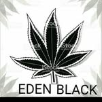 edenblvck - @ede_nblack - Instagram