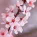 Eden Bloom - Facebook
