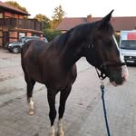 EDEN - @eden_____booth.d.6 - Instagram