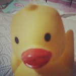edenbooth🐤 - @ede.nmckbooth - Instagram