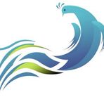 Eden Bright Service - Facebook