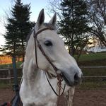 Eden~Brilliant - @edenbrilliant - Instagram