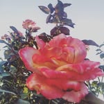 Eden - @eden_____brucen2gv._ - Instagram