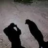 Bryan Eden - @bryan.eden - TikTok