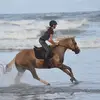Eden - @eden.carpenter4 - TikTok