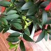 eden.carpenter3 - @eden.carpenter3 - TikTok