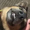 Eden - @eden.carter - TikTok