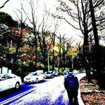 Eden Chang - @edenchang1083 - Instagram