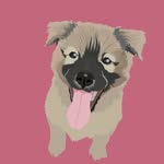 Eden Chase 🐾 - @edenchase13 - Instagram