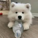Eden Cheng - Facebook