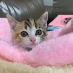 Eden Cheng - @ed_en2590 - Instagram